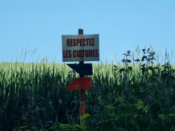 Haute Marne (kampeer) - Afbeelding 8