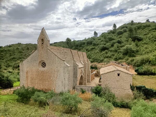 PYRENEEËN - Afbeelding 15