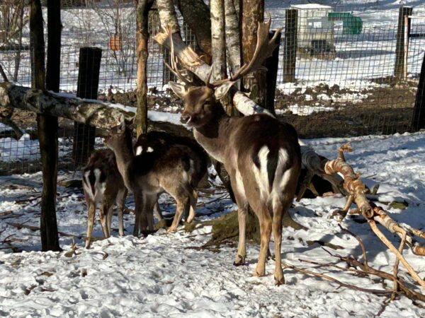 Kroatië winterreis - Afbeelding 7