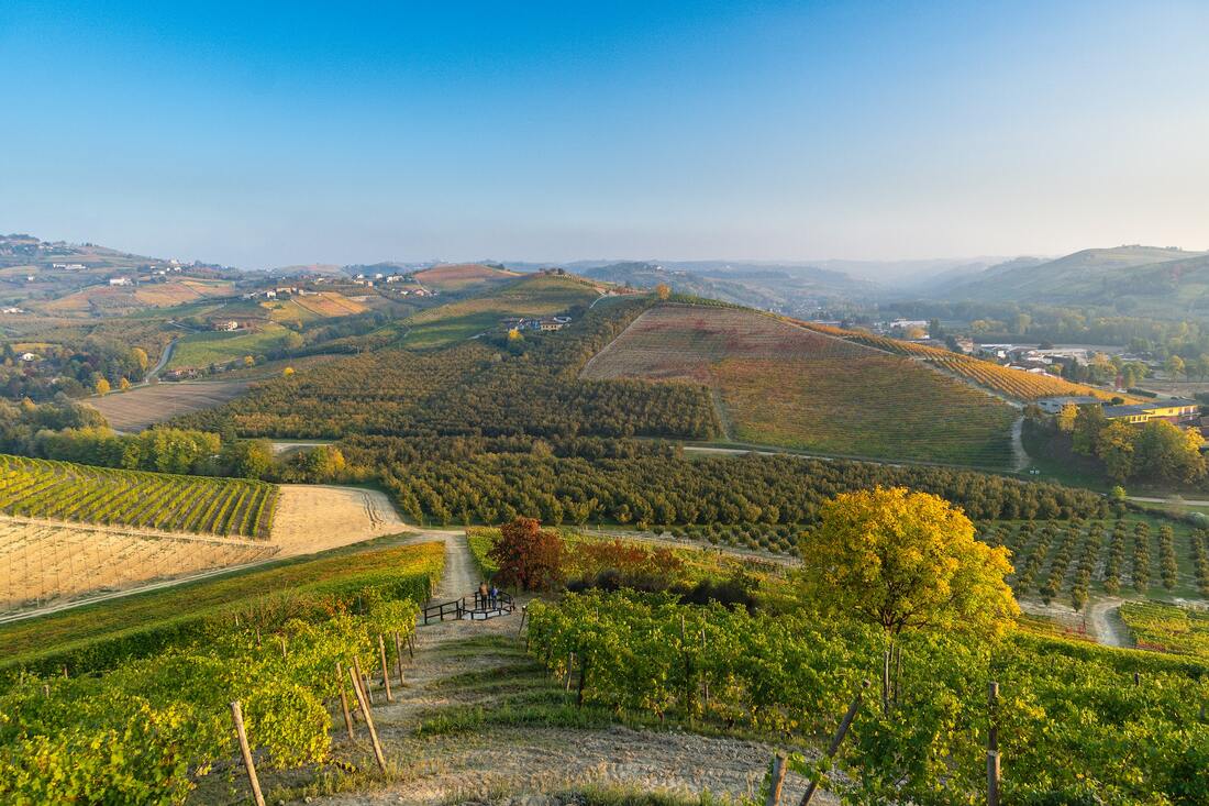 sebastian-barolo-cn-unsplash_orig