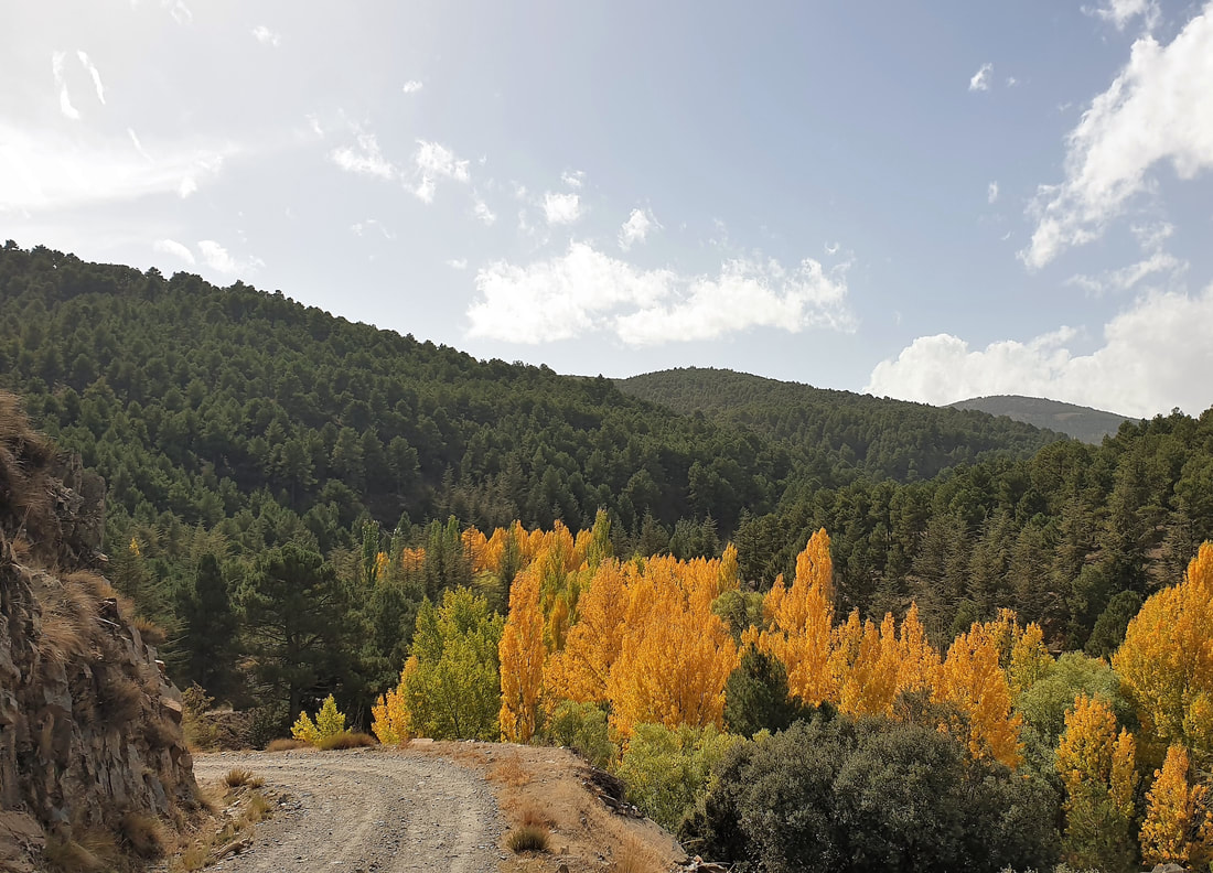 spain-spanje-october-oktober-sierra-nevada-the-offroad-guide-de-offroad-gids_orig