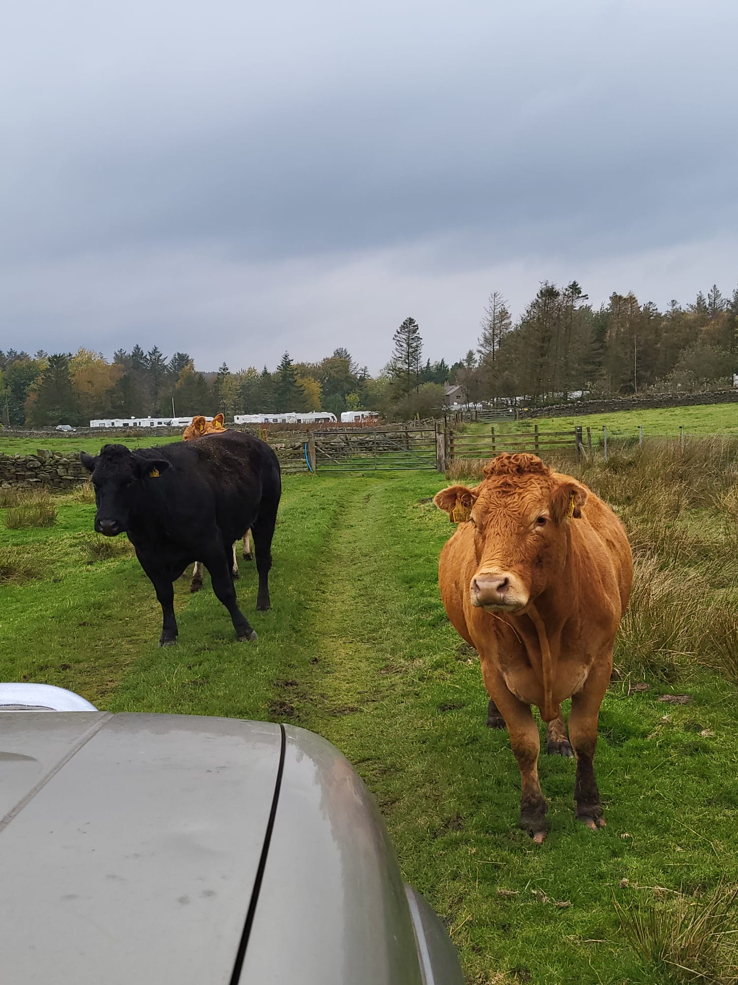 NORTH ENGLAND HOTEL - Afbeelding 14